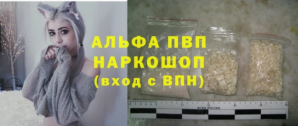 индика Белокуриха