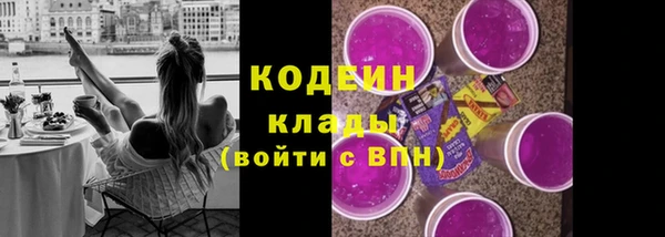 шишки Балахна