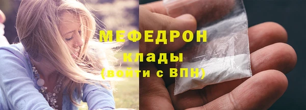 индика Белокуриха