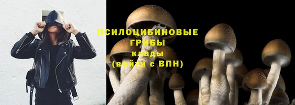 шишки Балахна