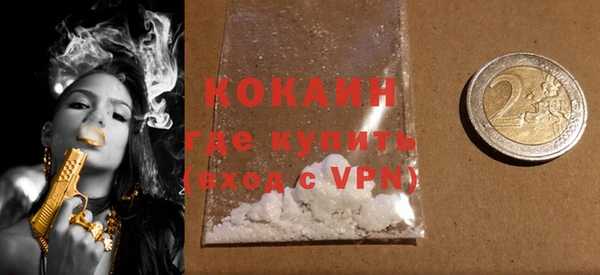 шишки Балахна